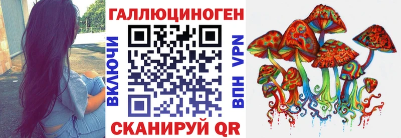 магазин продажи   Аткарск  ссылка на мегу ссылки  Псилоцибиновые грибы Psilocybine cubensis 